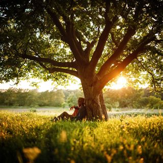 Natural Tinnitus Relief - 10 Hours Sleep Sound