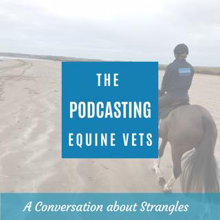 A Conversation About Strangles
