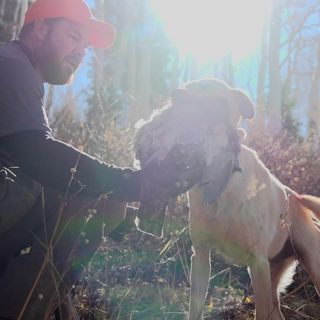 #283 | Western Upland Game Birds with Jason Robinson
