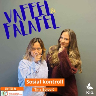 Sosial kontroll eller bare press?