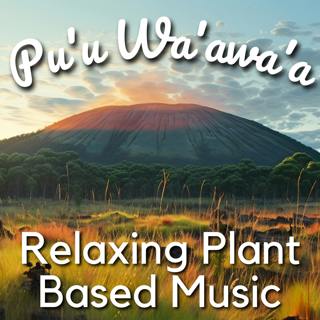 Plant Based Sounds - Pu'u Wa'awa'a