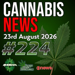 Aurora Buys UK Cannabis Pharmacy, Spice-Laced Gummies, Germany's Cannabis Boom & 37% Higher Stroke Risk | Cannabis News Ep. 224