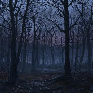 A Hunger For The Poor, Poor Things