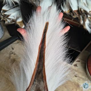 S8, Ep 5: Frosty Mornings and Musky Pursuits: January Fishing Insights with Ellis Ward