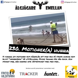 230. Motioner(a) hunna