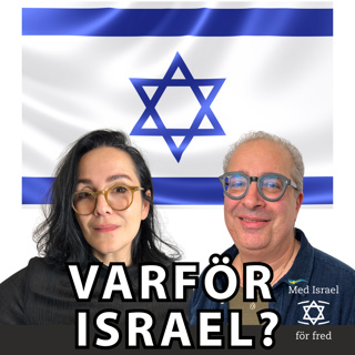 4. Aron Verständig gästar podden