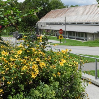 Factors that Make Pollinator Gardens More Attractive to Pollinators