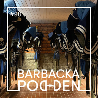 Sweden International Horse Show