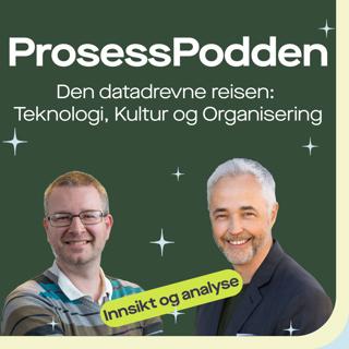 Den datadrevne reisen: Teknologi, Kultur og Organisering