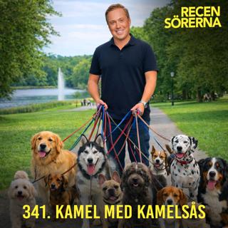 341. Kamel med kamelsås