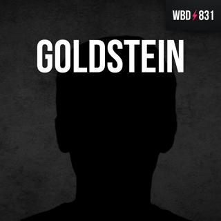 Why Bitcoin Takes All with Michael Goldstein - WBD831