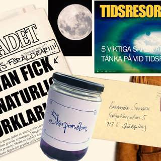 Jakten på en lillasyster, del 4