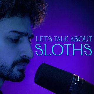 Send Me To Sleep | Sloths