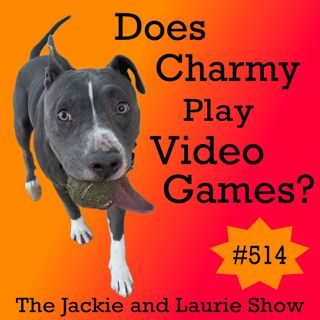 Does Charmy Like Anime (#514)