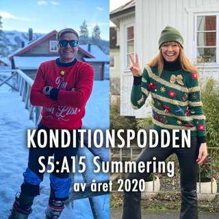 S5:A15 Summering av året 2020