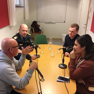 Polisens arbete med brott i nära relation och våldtäkter