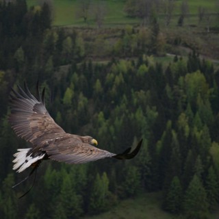 20220128 - The Inner Trojka