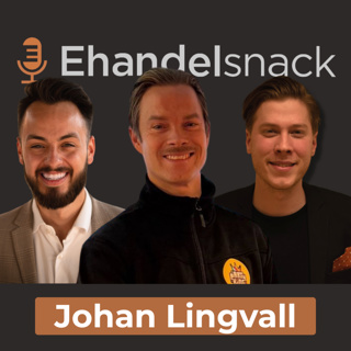 Från Lagerchef till VD: Johan Lingvalls Plan för Partykungens Comeback 2029