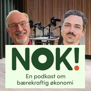 rss-nok-2