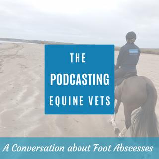 A Conversation About Foot Abscesses