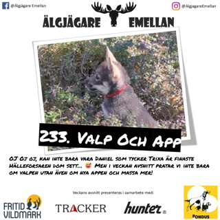 233. Valp & App