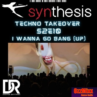 Synthesis 210 - I Wanna Go Bang (Up)
