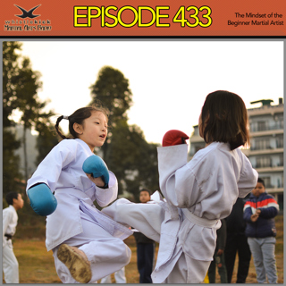 Episode 433 - The Mindset of the Beginner Martial Artist