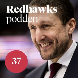 37: Så ska Malmö lämna tillvaron som lindansare