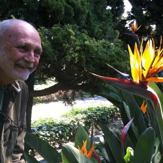 First Stage of Meditation Tips - Culadasa