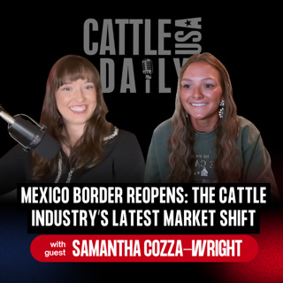 402: Mexico Border Reopens: The Cattle Industry’s Latest Market Shift with Samantha Cozza-Wright