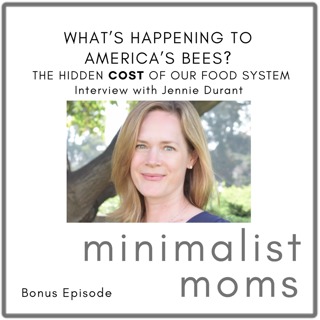 What’s Happening to America’s Bees? The Hidden Cost of Our Food System | Jennie Durant