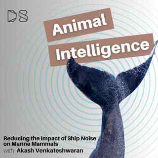 Reducing the Impact of Ship Noise on Marine Mammals