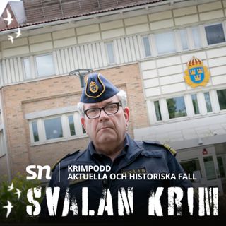 Den patrullerande polischefen och kampen mot gängen