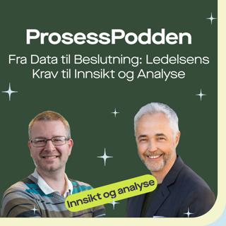 Fra Data til Beslutning: Ledelsens Krav til Innsikt og Analyse