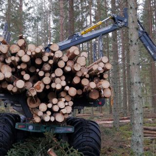 Skogsfredag #257 - Skäms inte för virkespriset skogsägare