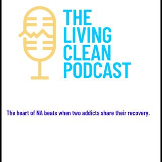 Living Clean Book Study — Wellness & Health (Part 2)
