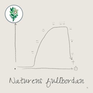 Naturens fullbordan (Causa Finalis) - När rymdskeppet väl var klart, slogs han av en plötslig tomhetskänsla