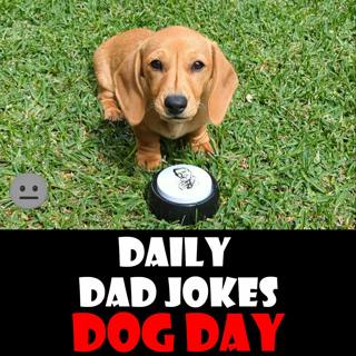 [No Laughter Version] National Dog Day! 62 "ruff" dad jokes! 26 August 2025