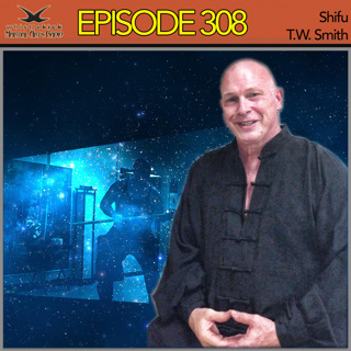 Episode 308 - Shifu T.W. Smith