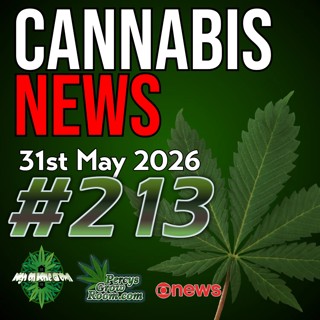 Over 90% of Patients Claim Cannabis Has Helped Them | Cannabis Blamed for Violent Mans Murder of Friend | Japan Bans CBN | Changed to Gun Owners Form in the USA | Cannabis News 213