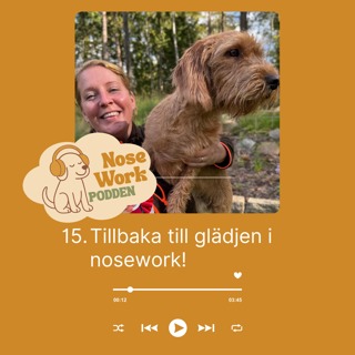 15. Tillbaka till glädjen i nosework!
