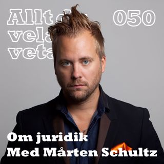 050 Om juridik med Mårten Schultz