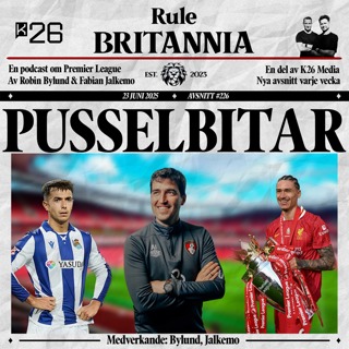 #226 Pusselbitar