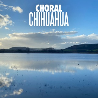 Clare Stevens - Choral Music journalist