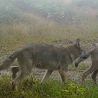 Wararkii maanta ee Raadiyaha Iswiidhen