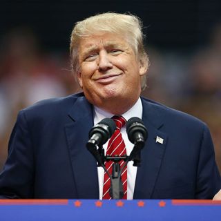 Will Donald Trump run again?