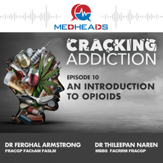 An Introduction to Opioids