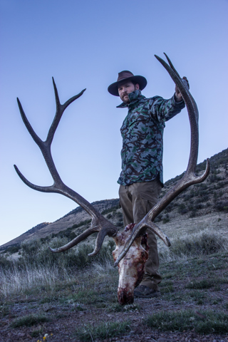 Top 5 Elk Hunts: Tips & Tricks that Led to Success