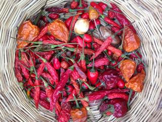 So Hot Right Now: Why We Love the Chile Pepper