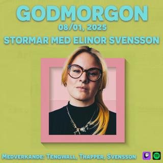 8/1, 2025 - Stormar med Elinor Svensson